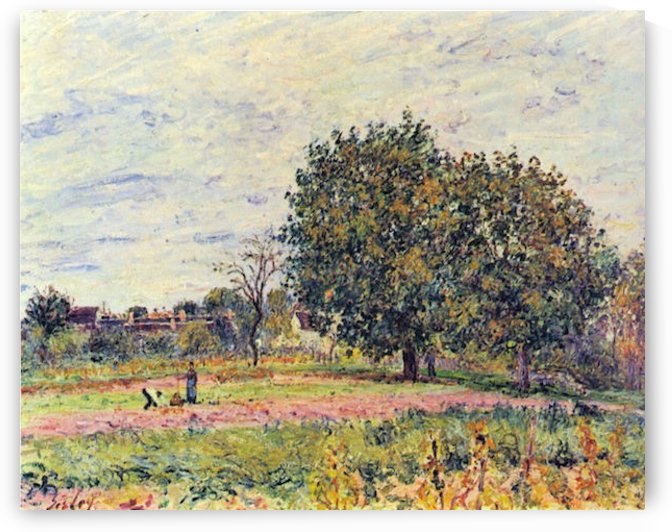 Walnut trees in the sun in early October by Sisley