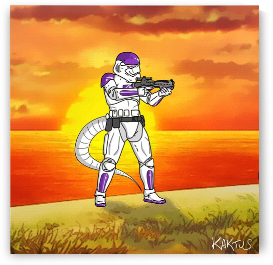 Stormtrooper en Freeza by Kaktus Art