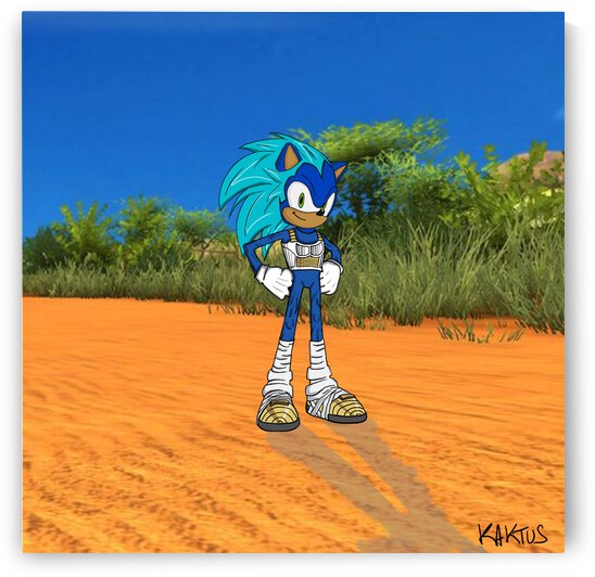 Sonic en Vegeta by Kaktus Art