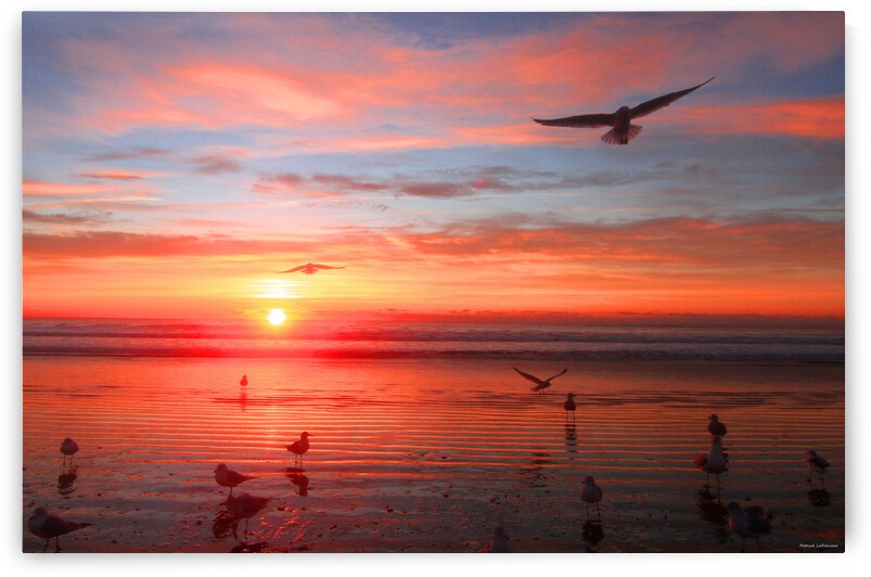 Narragansett Sunrise by Patrick LaFreniere