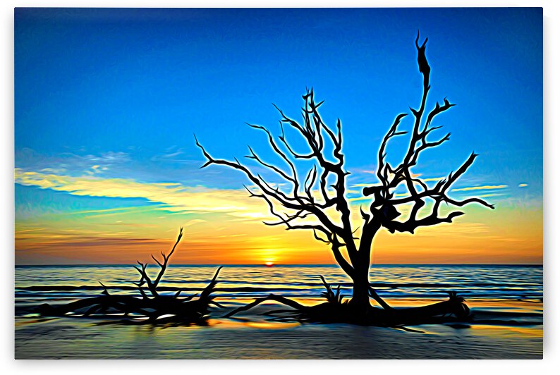 Iconic Tree Sunrise Driftwood Beach Expressionism by Bill Swartwout Photography