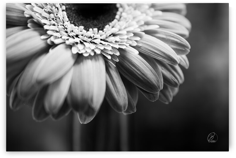 Ill Be There by Bivi Franco