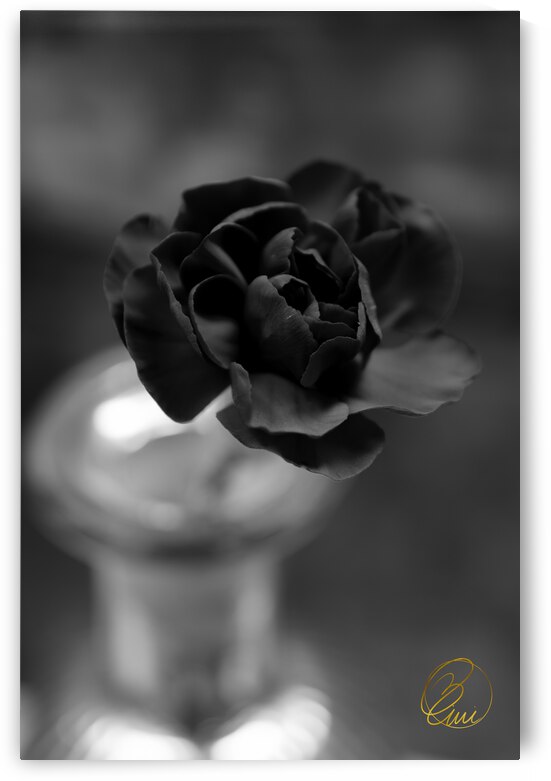 In an Instant  by Bivi Franco