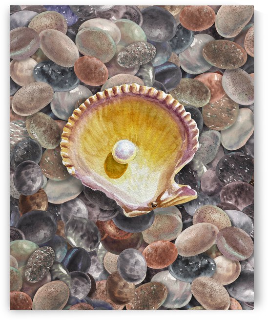Rock And Seashell Collection Watercolor Painting Beach Rocks II by Irina Sztukowski