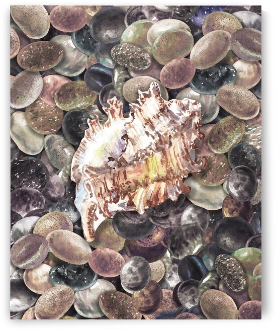 Rock And Seashell Collection Watercolor Painting Beach Rocks III by Irina Sztukowski