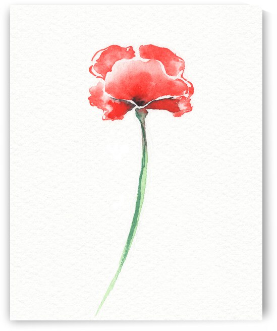 Graceful Beauty Botanical Watercolor Red Poppy Flower I by Irina Sztukowski