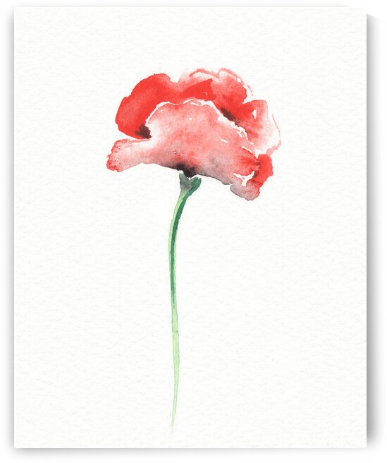Graceful Beauty Botanical Watercolor Red Poppy Flower II by Irina Sztukowski