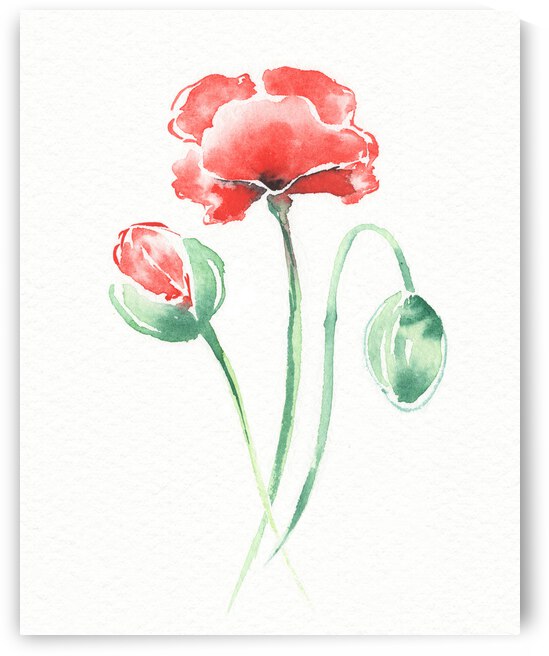 Graceful Beauty Botanical Watercolor Three Red Poppies Flowers I  by Irina Sztukowski
