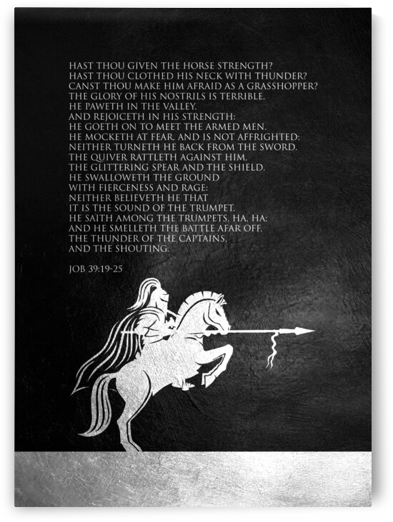 Job 39:19-25 Bible Verse Wall Art by ABConcepts