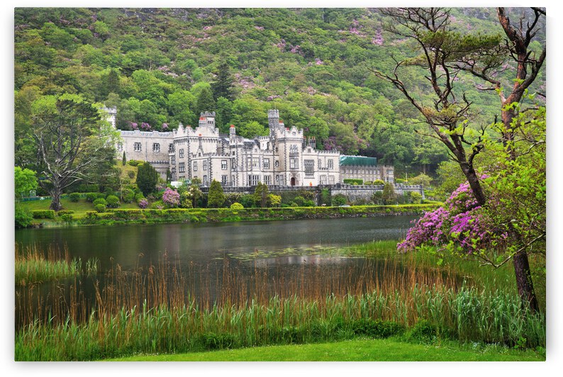 TLR 3106final by TLR