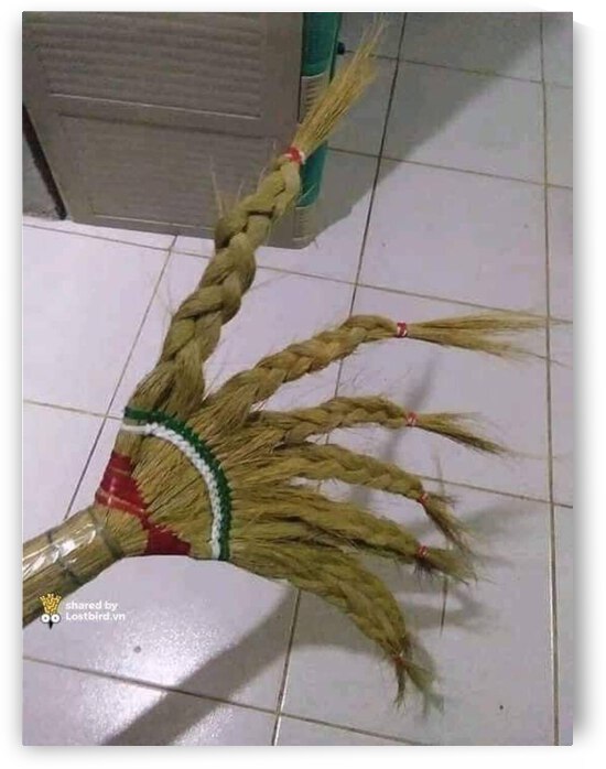 Cay choi by Do Hien XDXD