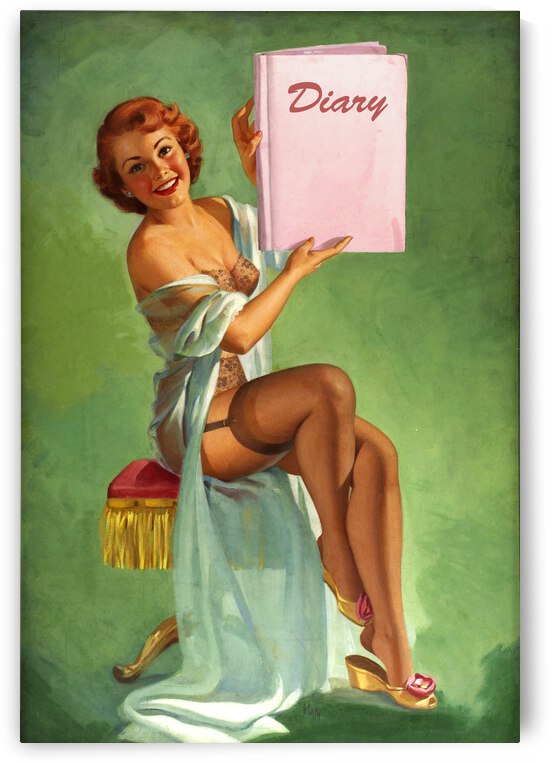 Her Secret Diary by vintagesupreme