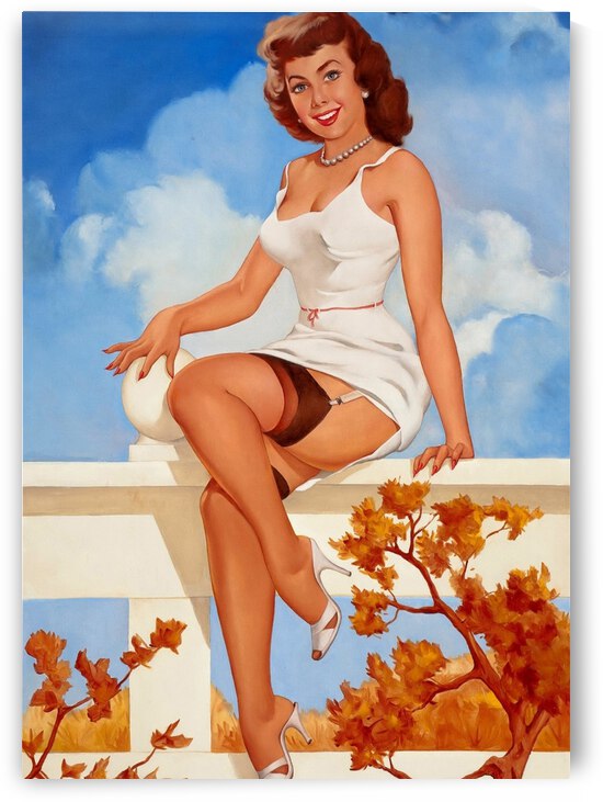 Sexy Girl on a Fence by vintagesupreme