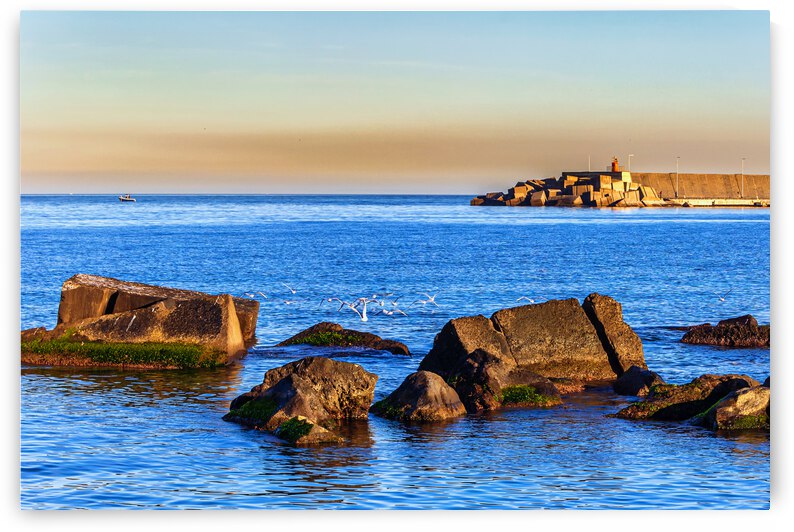 20210204IMG 0507 by Lapissable