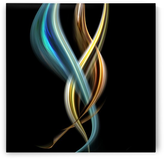Unexpected Dance ltd edition of 5- 3 left-  NEW by Loek van Walsem Photographic Art