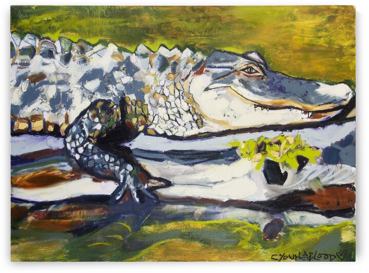 Louisiana Alligator on a Log in Green Bayou  by Caroline Youngblood