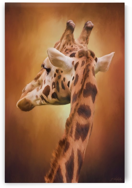 Rising Above - Giraffe Art by Jordan Blackstone