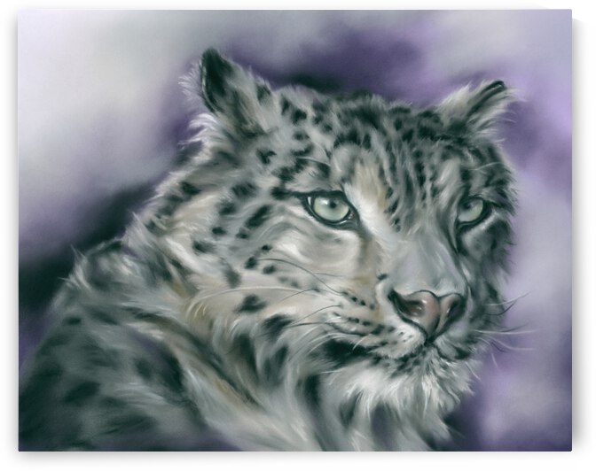 Snow Leopard Portrait by MM Anderson