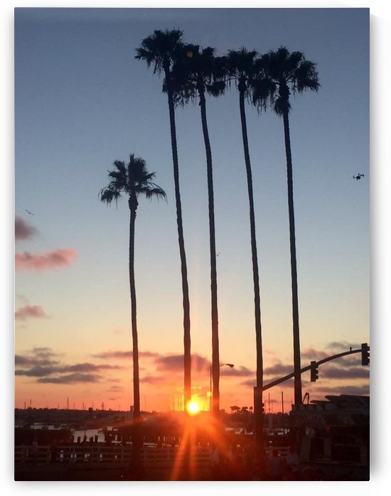 San Diego,  by MonicaVee