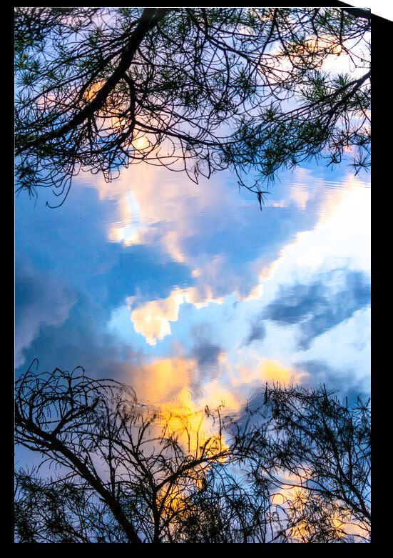 Cloud Reflections  on a Northwoods Lake by Joe Riederer