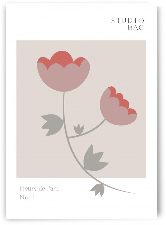 Roses Studio Bac by 1x