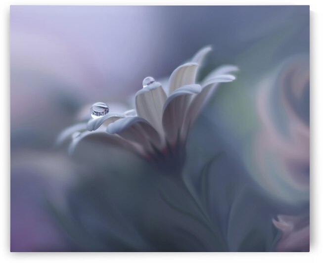 Behind Closed Eyes... by 1x