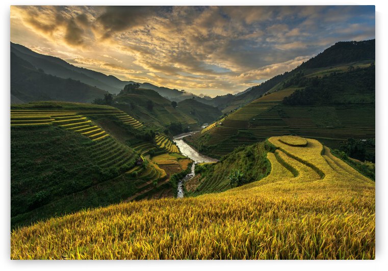 RiceTerrace ( vietnam) by 1x