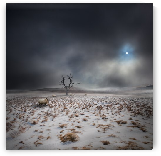 The Land OF The Midnight Sun by 1x