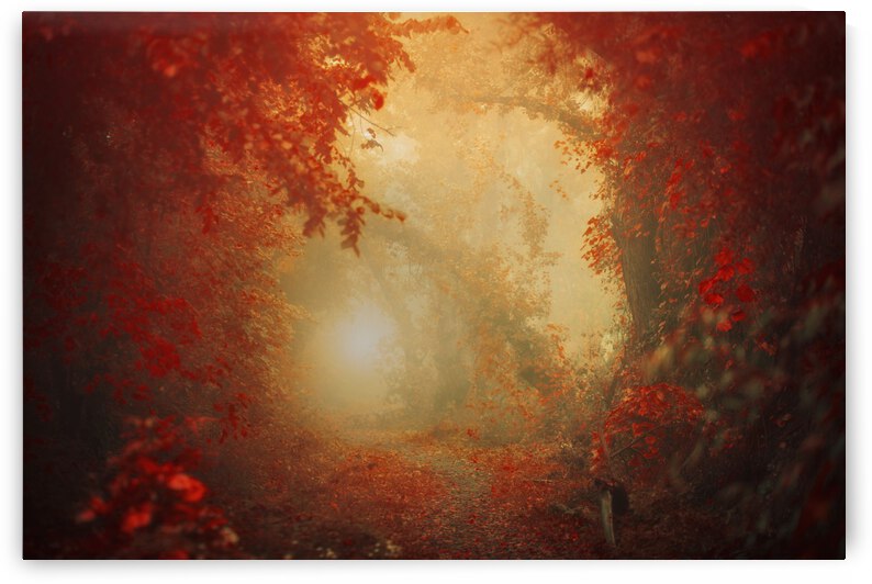 Personal Journey by 1x