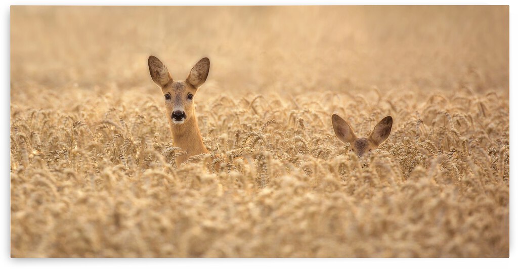 Mother with child by 1x