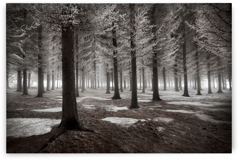 The onset of winter by 1x