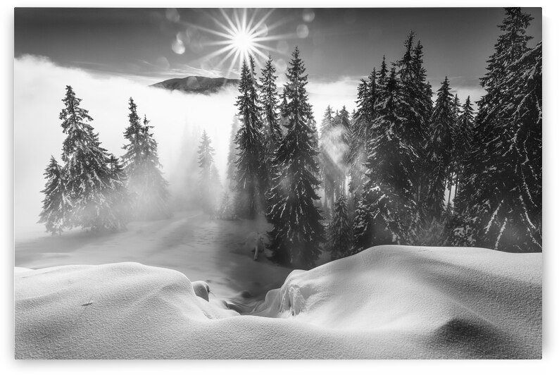 A Winter Tale ! by 1x