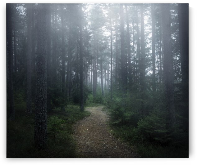 The forest of secrets by 1x