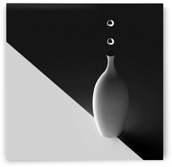 The Vase by 1x