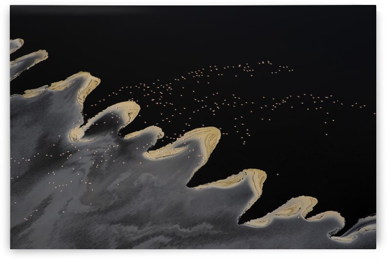 Flying Over the Lake by 1x