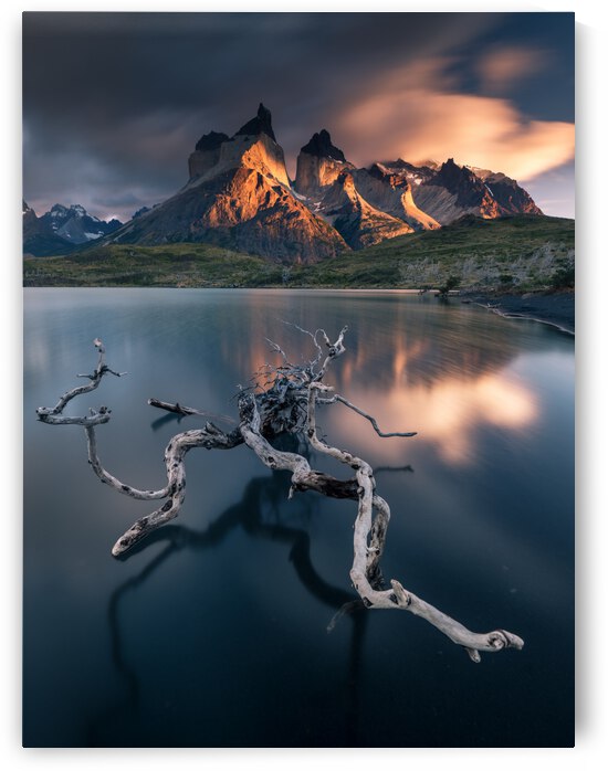 Torres del Paine by 1x