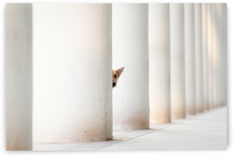 Bella - and the Pillars of the Earth... by 1x