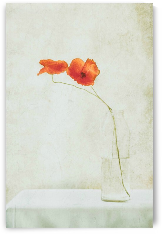 Two Poppies in a Bottle by 1x