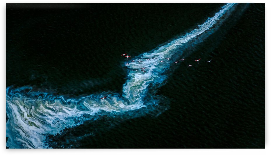 Dances with waves by 1x