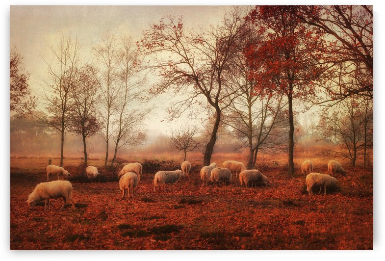 Last days of autumn by 1x