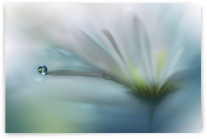 Fields of Hope.. by 1x