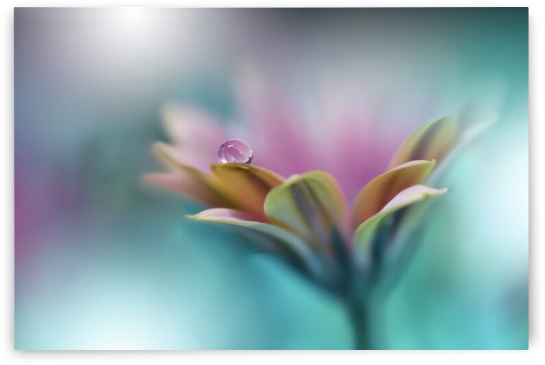 Memories of Sea.. by 1x