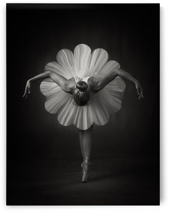 Floral Ballet by 1x