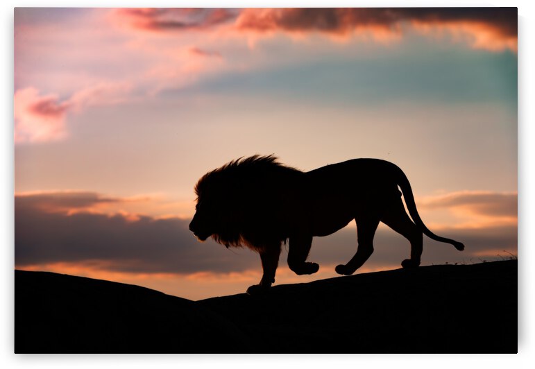 Sunset in the Serengeti by 1x