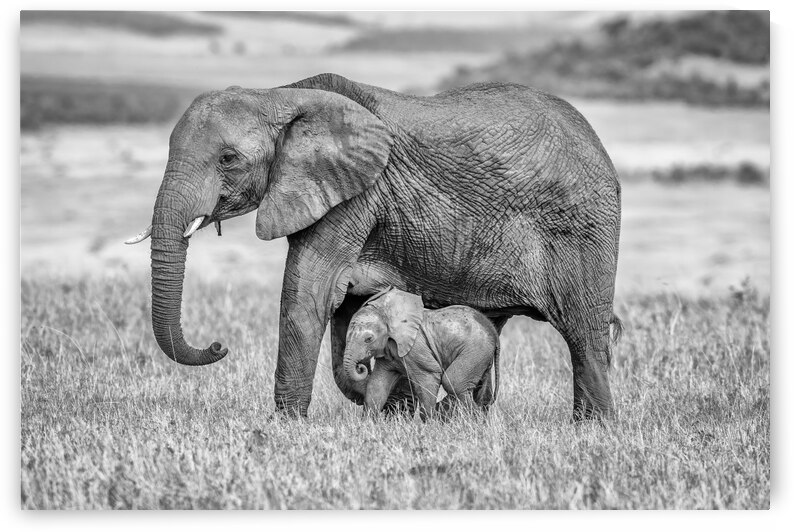 Staying close and protected by 1x