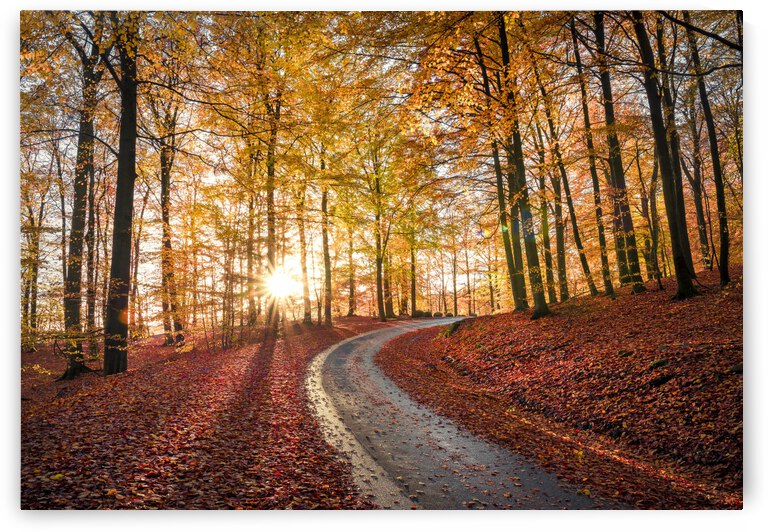 Road in SApderAysen nationalpark, Sweden by 1x