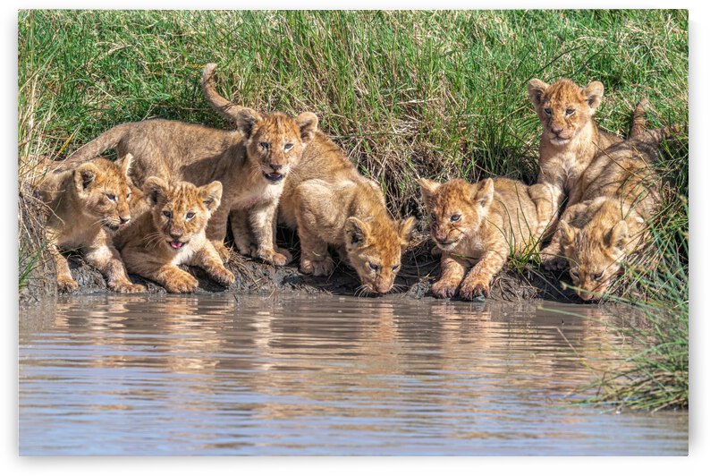 Putting the band back together.... by 1x