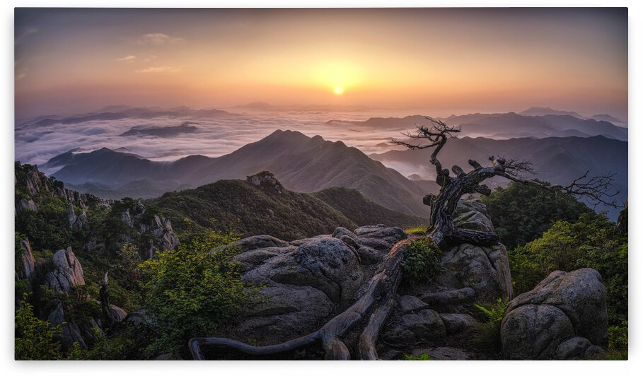 Sunrise on Top by 1x