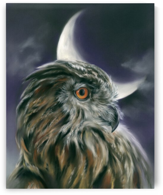 Owl and Crescent Moon by MM Anderson