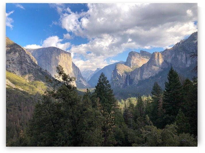 59A7FEC4 DFCC 4AFC 95D1 C10BF0D552C7 by Andy W